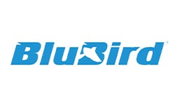 blubird image